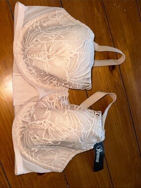 Paramour Lace Underwire Bra in Light Cream